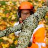Высоторез HUSQVARNA 525P5S 9673295-01