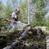 Кусторез бензиновый HUSQVARNA 545F 967 88 45-01