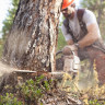 Бензопила STIHL MS 230 16